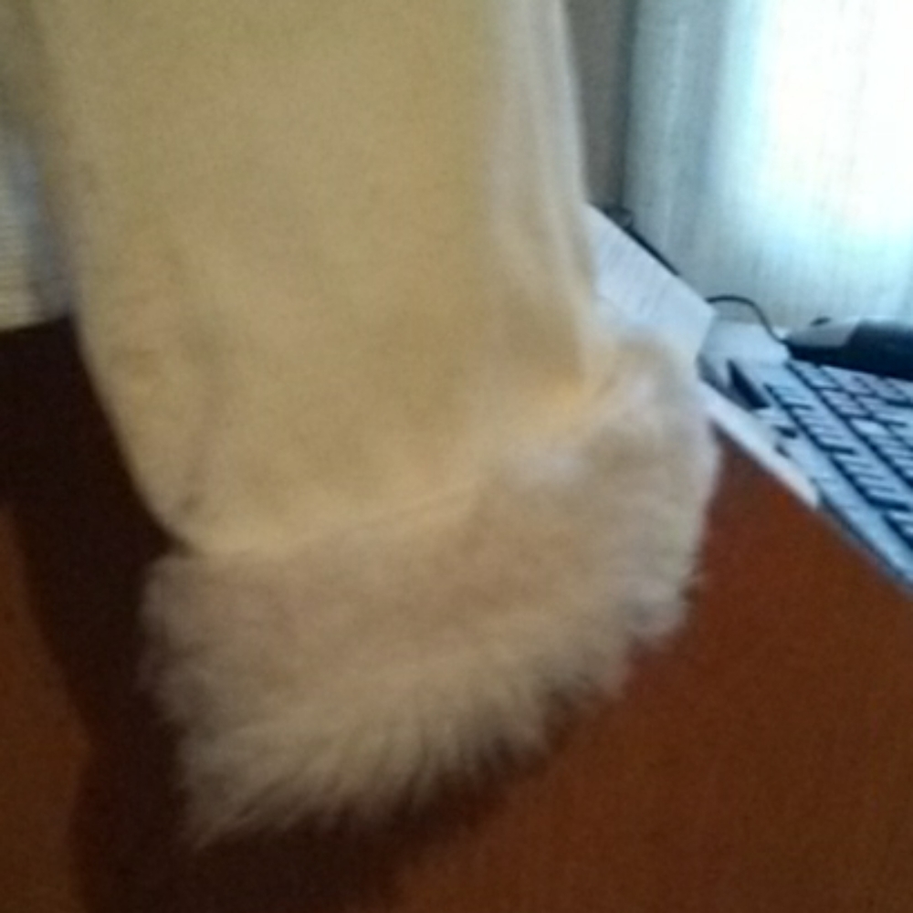 Jacket - Picture 3 of 4